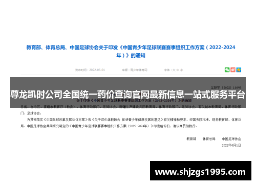 尊龙凯时公司全国统一药价查询官网最新信息一站式服务平台