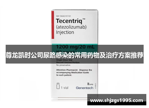尊龙凯时公司尿路感染的常用药物及治疗方案推荐