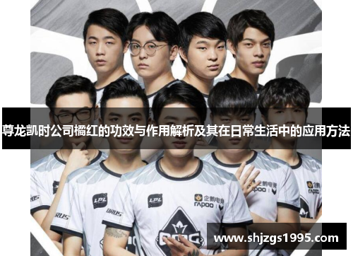 尊龙凯时公司橘红的功效与作用解析及其在日常生活中的应用方法