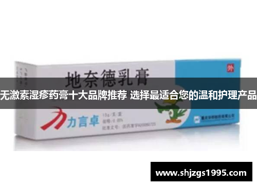 无激素湿疹药膏十大品牌推荐 选择最适合您的温和护理产品