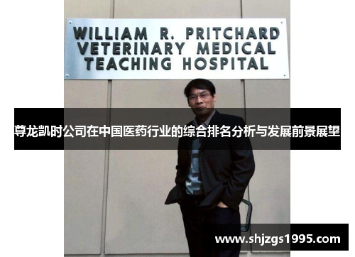 尊龙凯时公司在中国医药行业的综合排名分析与发展前景展望